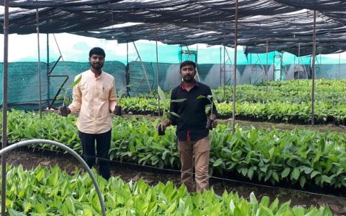 Tissue culture farm