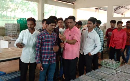 Giving information to students about seed culture